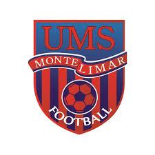 Partenaires Newteam UMS Foot